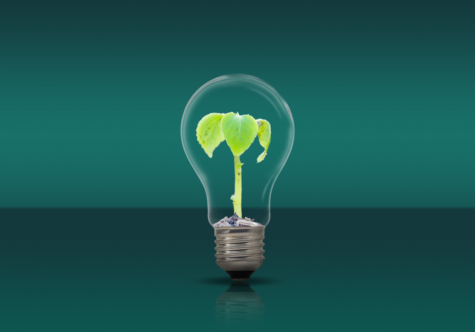 JBR Interim Executives duurzaamheid, een lamp met een plant erin